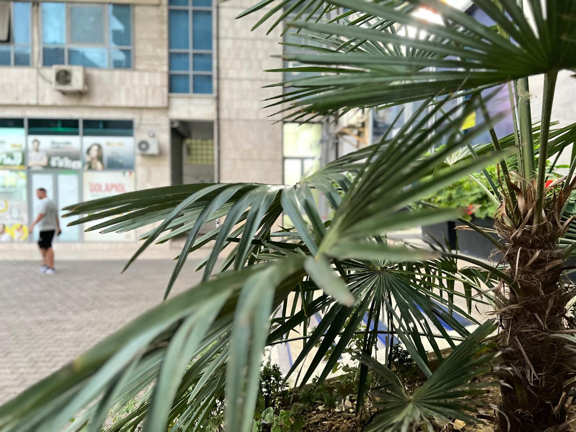 New Baazar Terrace Apartment تيرانا المظهر الخارجي الصورة